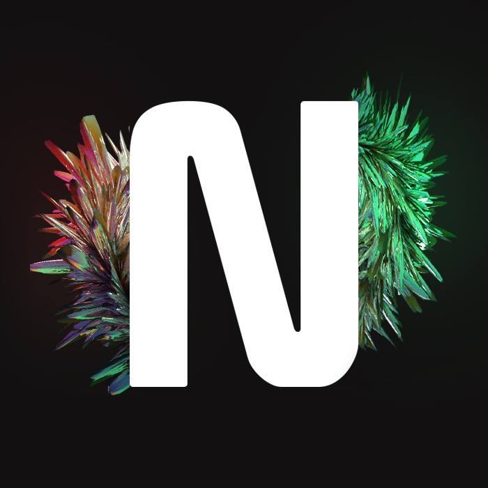 סמל NAVINES